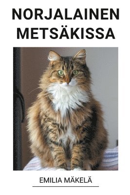 bokomslag Norjalainen Metsäkissa