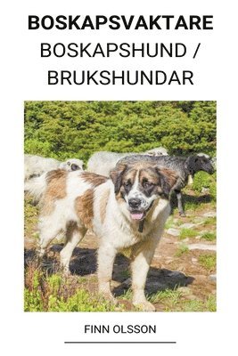 bokomslag Boskapsvaktare (Boskapshund / Brukshundar)