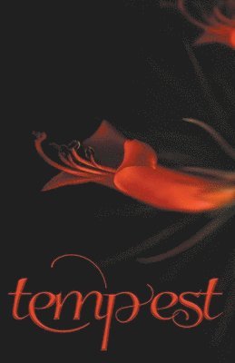 bokomslag Tempest