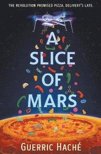bokomslag A Slice of Mars
