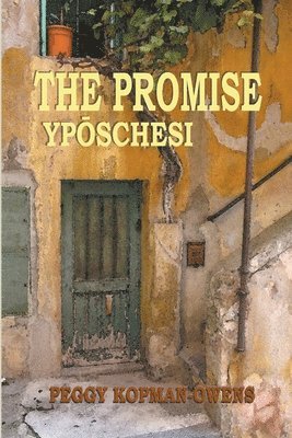 bokomslag The Promise Ypschesi