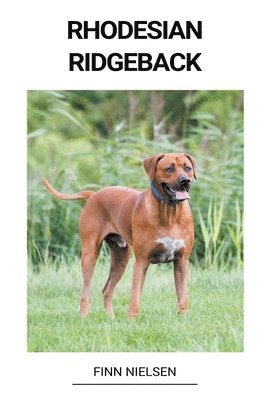 bokomslag Rhodesian ridgeback