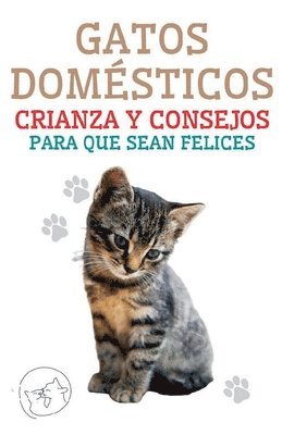 bokomslag Gatos Domésticos Crianza y Consejos Para que Sean Felices