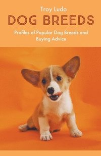 bokomslag Dog Breeds