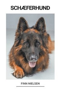 bokomslag Schæferhund