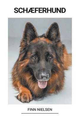 Schæferhund 1
