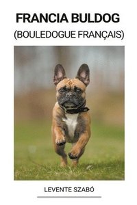 bokomslag Francia Buldog (Bouledogue Francais)