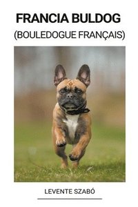 bokomslag Francia Buldog (Bouledogue Français)