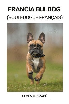 bokomslag Francia Buldog (Bouledogue Français)
