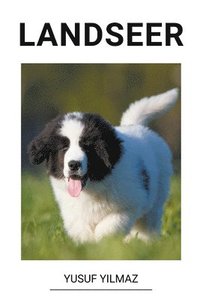 bokomslag Landseer
