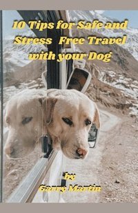 bokomslag 10 Tips for Safe and Stress Free Travel with your Dog
