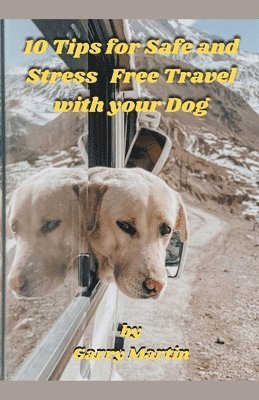 10 Tips for Safe and Stress Free Travel with your Dog 1