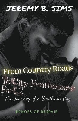 From Country Roads to City Penthouses Part 2