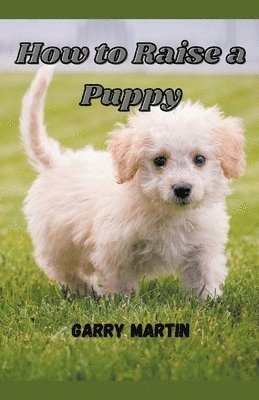 Garry Martin - How to Raise a Puppy, Häftad