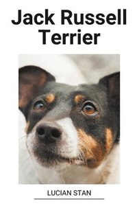 bokomslag Jack Russell Terrier