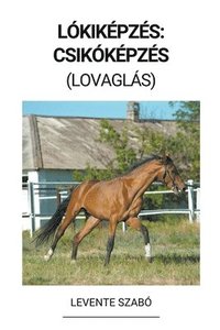 bokomslag Lókiképzés