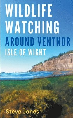 Wildlife Watching Around Ventnor, Isle of Wight 1