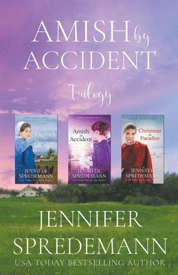 Amish by Accident Trilogy 1