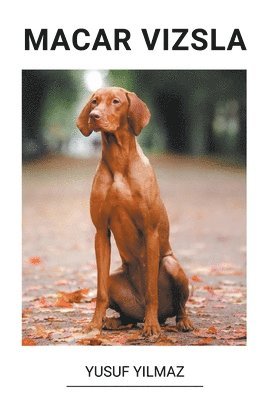 bokomslag Macar Vizsla