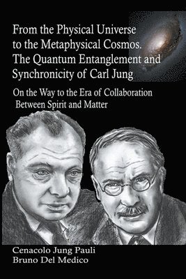 bokomslag From the Physical Universe to the Metaphysical Cosmos. The Quantum Entanglement and Synchronicity of Carl Jung