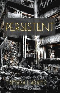 bokomslag Persistent
