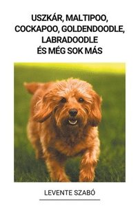 bokomslag Uszkár, Maltipoo, Cockapoo, Goldendoodle, Labradoodle és még sok más