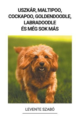 bokomslag Uszkár, Maltipoo, Cockapoo, Goldendoodle, Labradoodle és még sok más