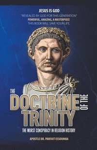 bokomslag The Doctrine Of The Trinity