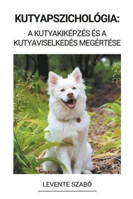 bokomslag Kutyapszichológia