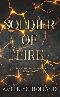 bokomslag Soldier of Fire