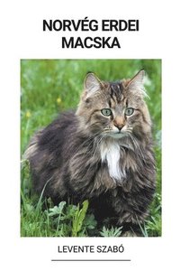 bokomslag Norvég Erdei Macska