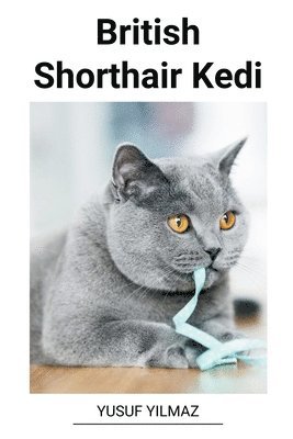 bokomslag British Shorthair Kedi