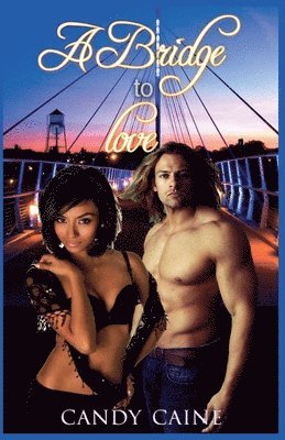 Bridge to Love