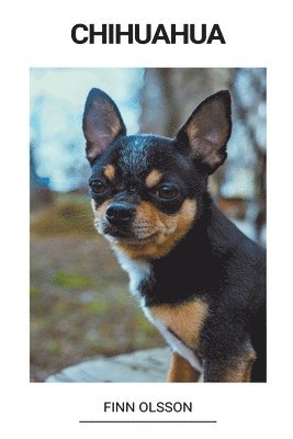 bokomslag Chihuahua