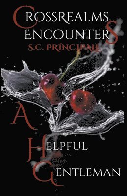 S C Principale - CrossRealms Encounters, Häftad