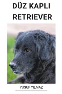 bokomslag Dz Kapl&#305; Retriever