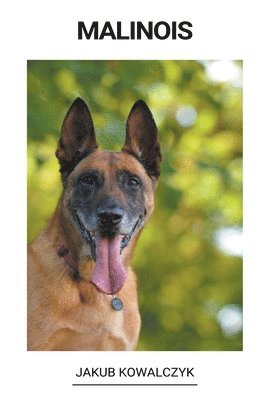 bokomslag Malinois