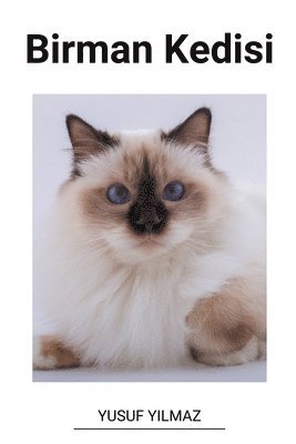 Birman Kedisi 1