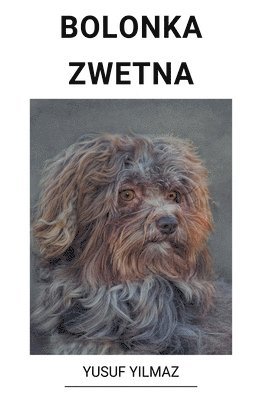 bokomslag Bolonka Zwetna