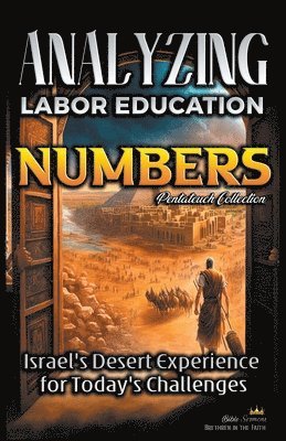 Bible Sermons - Analyzing the Labor Education in Numbers, Häftad