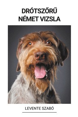 Drotsz&#337;r&#369; Nemet Vizsla 1