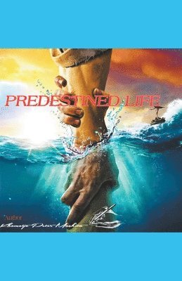 Predestined Life 1