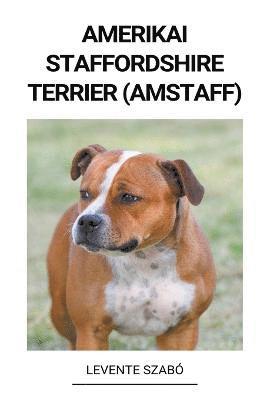 Amerikai Staffordshire Terrier (Amstaff) 1