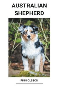 bokomslag Australian Shepherd