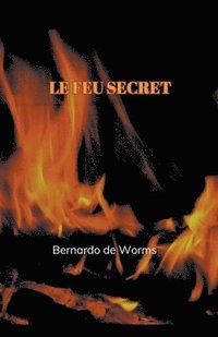 bokomslag Le feu secret