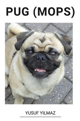 bokomslag Pug (Mops)