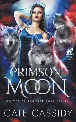 bokomslag Crimson Moon