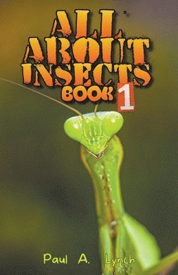 All About Insects 1