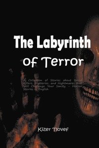 bokomslag The Labyrinth of Terror