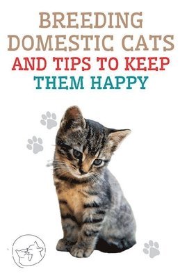 Edwin Pinto - Breeding Domestic Cats and Tips to Keep Them Happy, Häftad